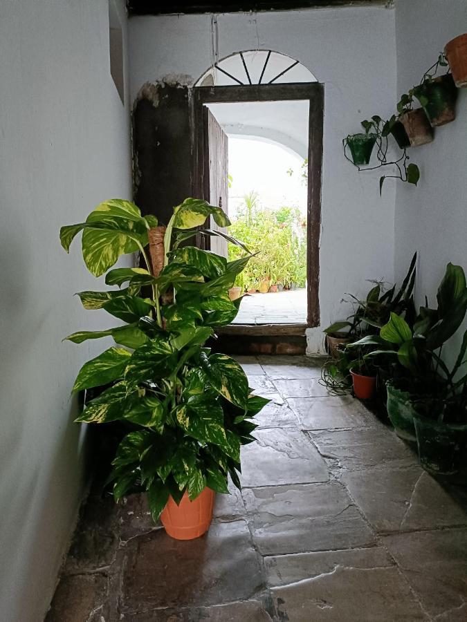 Casa Amalfi, Coqueta Casa Centro Historico De Vejer Apartment Vejer de la Frontera Ngoại thất bức ảnh