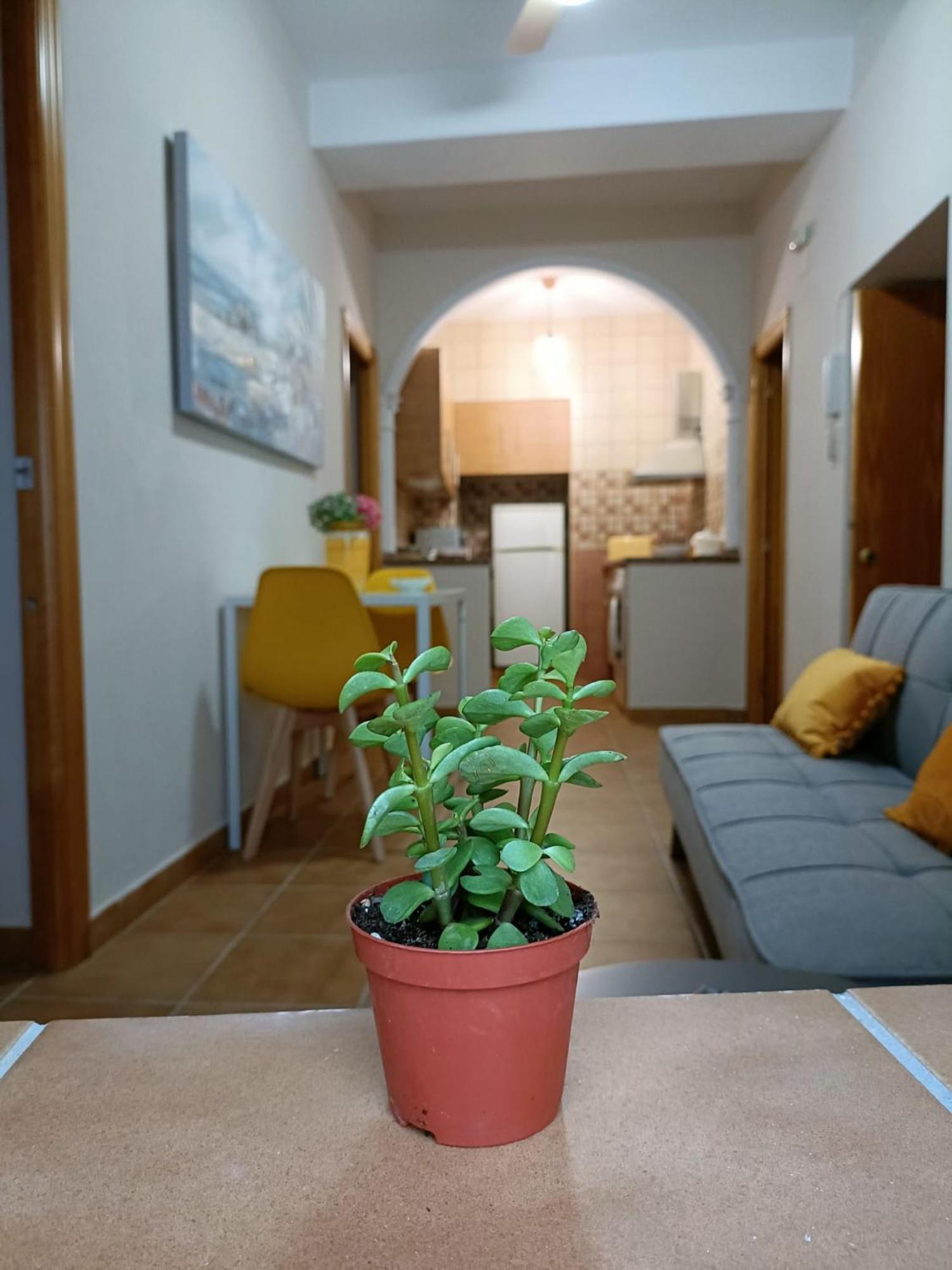 Casa Amalfi, Coqueta Casa Centro Historico De Vejer Apartment Vejer de la Frontera Ngoại thất bức ảnh